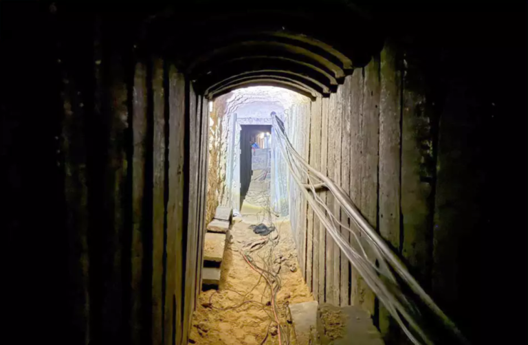 צילום מסך 2025-12-19 090425